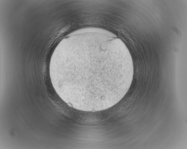 X0000115160260200912081414