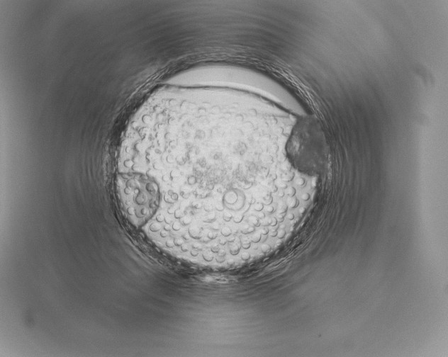 X0000115160261200912081414