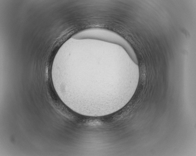 X0000115160262200912081414