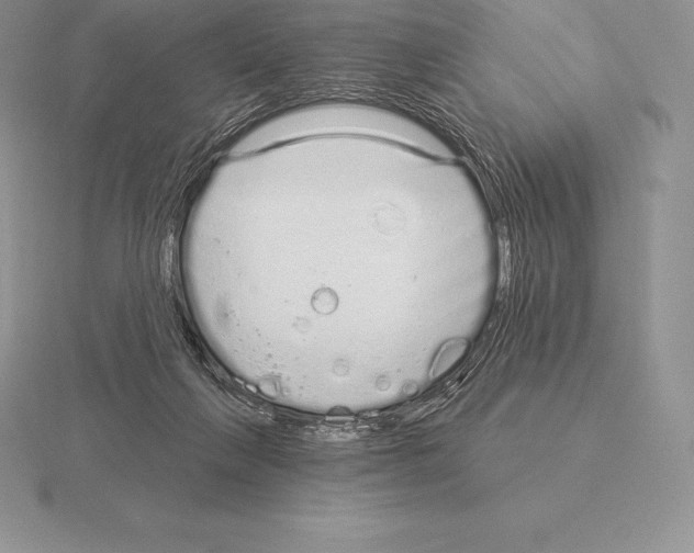 X0000115160263200912081414