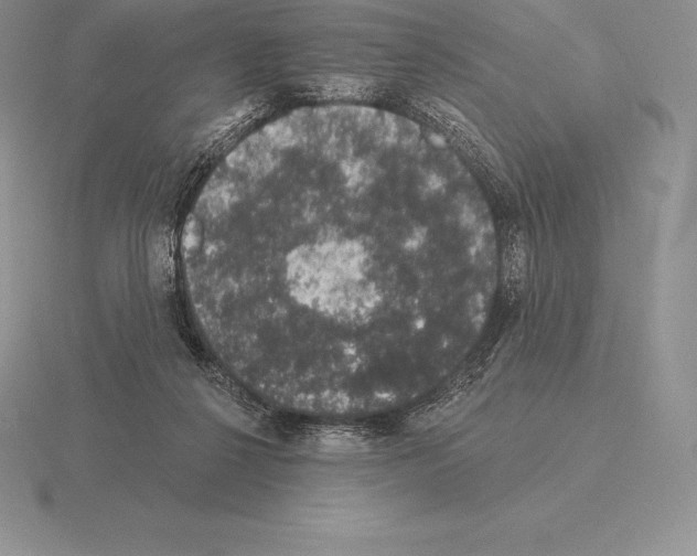 X0000115160264200912081414