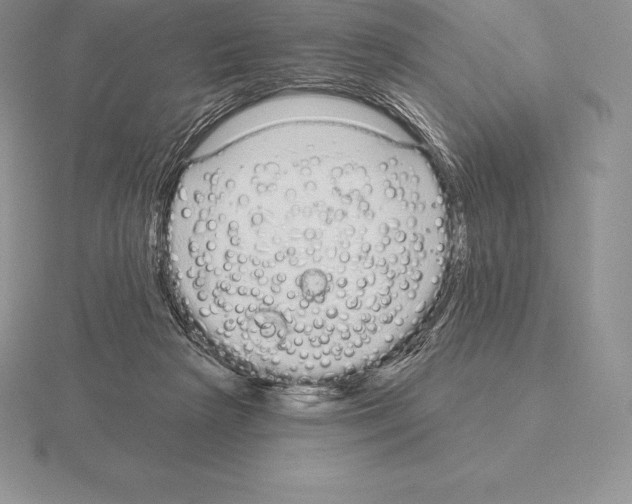 X0000115160265200912081414