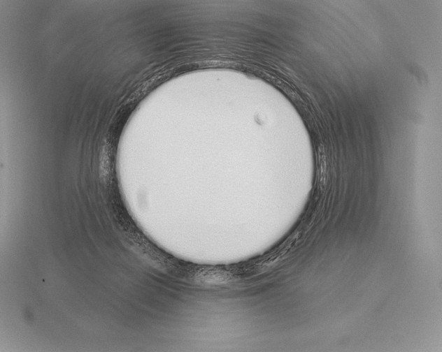 X0000115160266200912081414