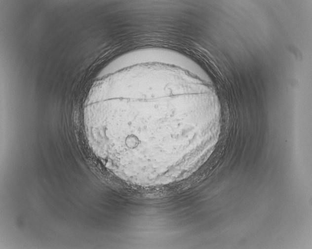 X0000115160267200912081414