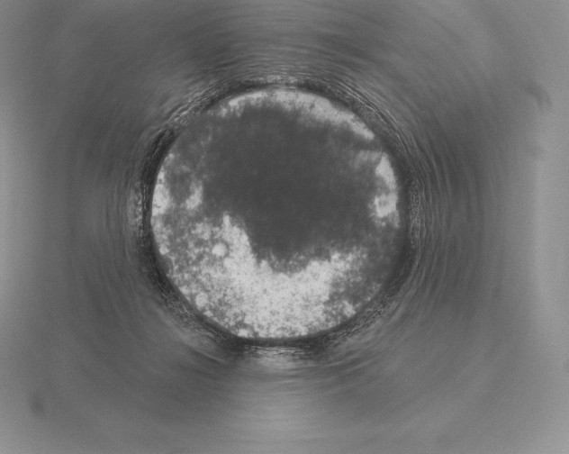 X0000115160268200912081414