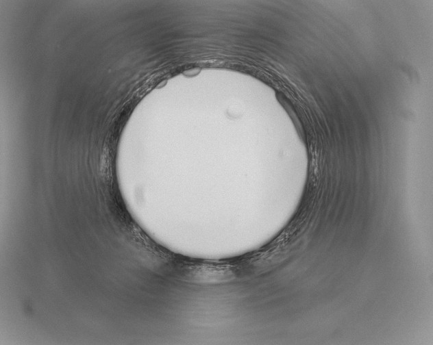 X0000115160270200912081414