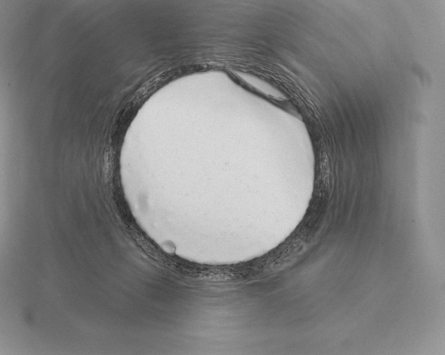 X0000115160271200912081414