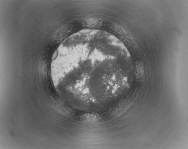 X0000115160272200912081414