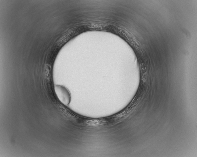 X0000115160273200912081414