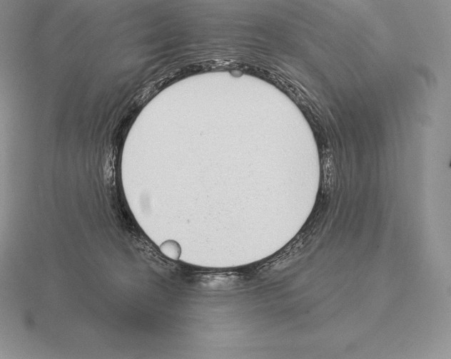 X0000115160274200912081414