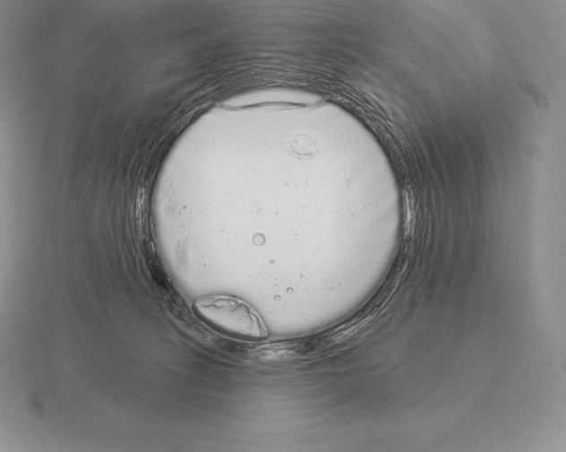 X0000115160275200912081414