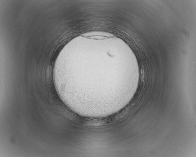 X0000115160278200912081414