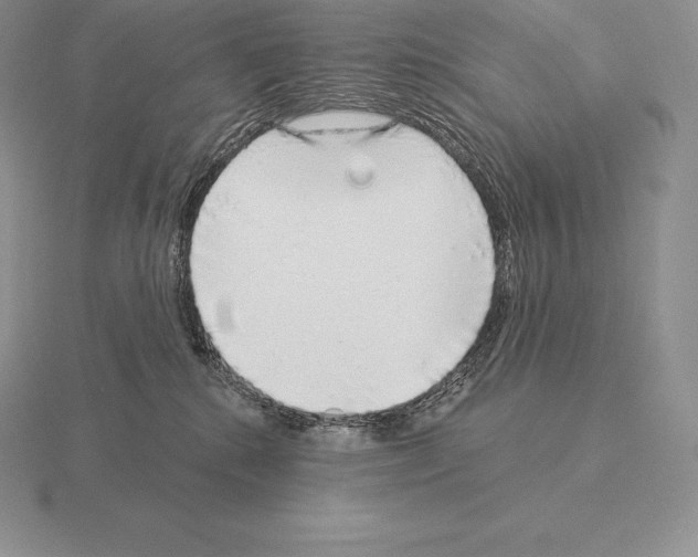 X0000115160280200912081414