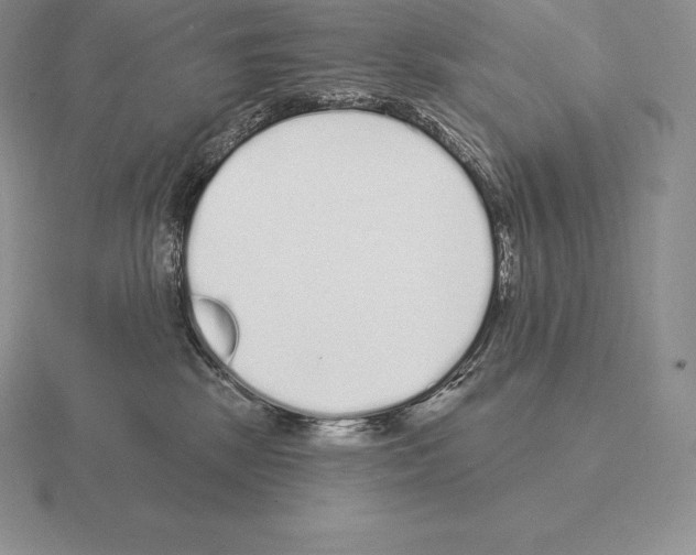 X0000115160281200912081414