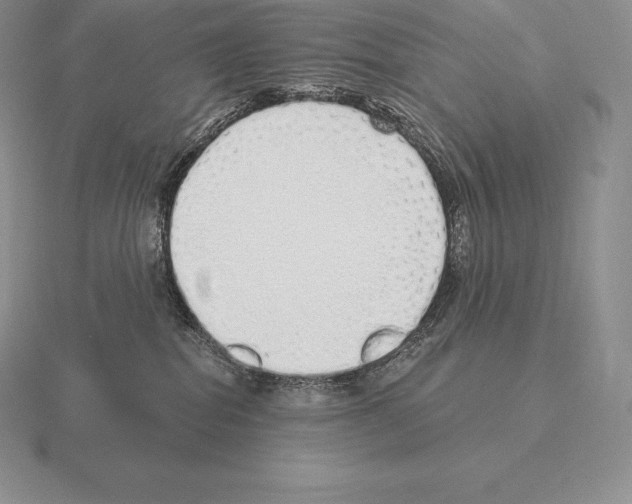 X0000115160282200912081414