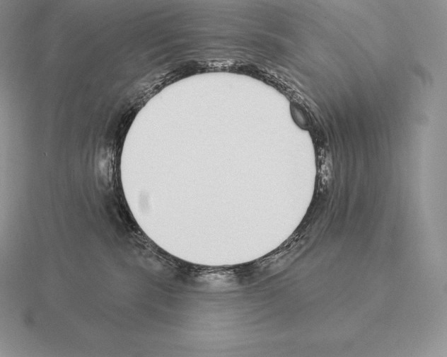 X0000115160283200912081414