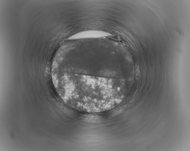 X0000115160284200912081414