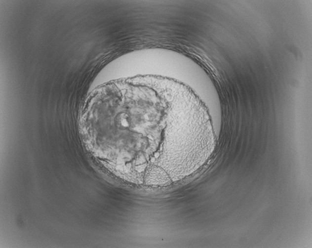 X0000115160285200912081414