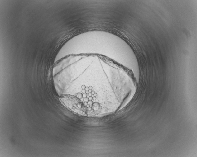 X0000115160286200912081414