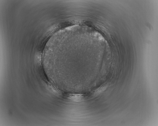 X0000115160288200912081414