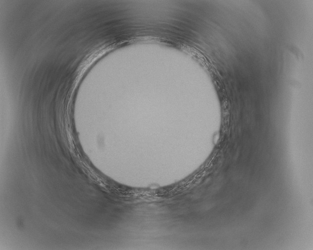 X0000115160289200912081414