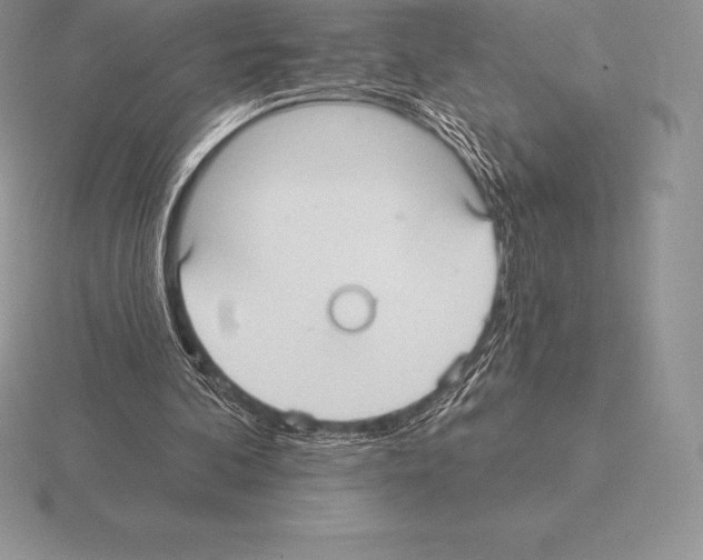 X0000115160292200912081414