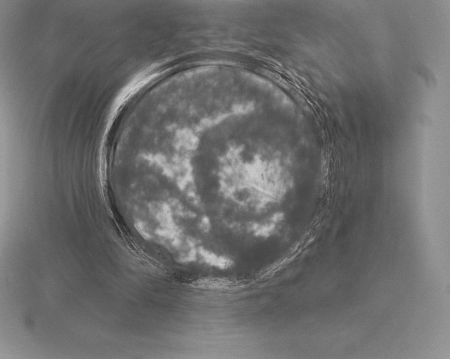 X0000115160294200912081414