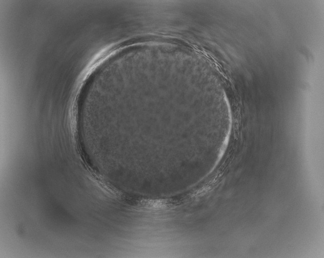 X0000115160295200912081414