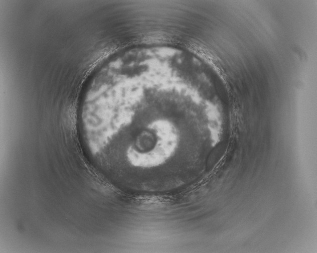 X0000115160297200912081414