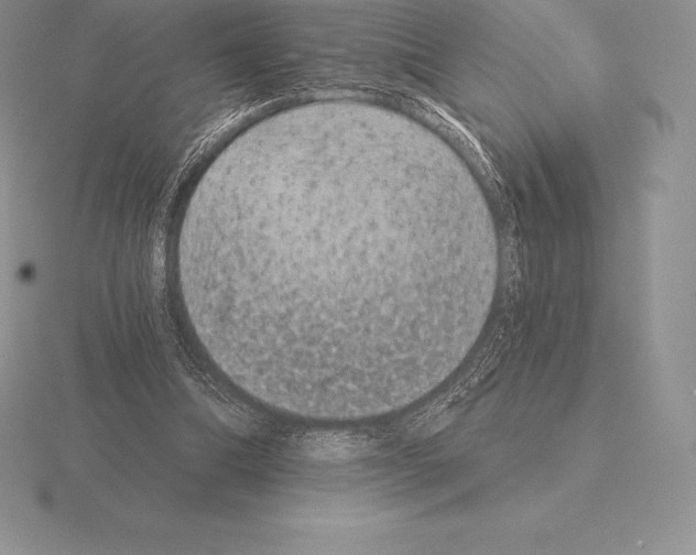 X0000115160298200912081414