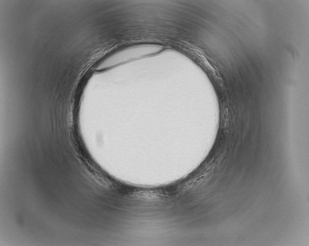 X0000115160299200912081414