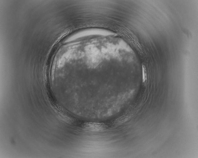 X0000115160300200912081414