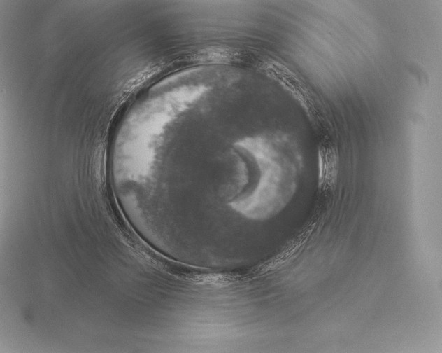 X0000115160301200912081414