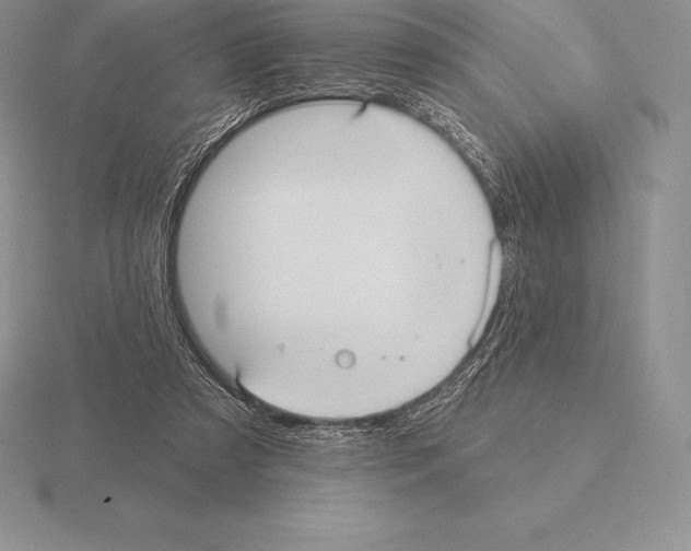 X0000115160305200912081414