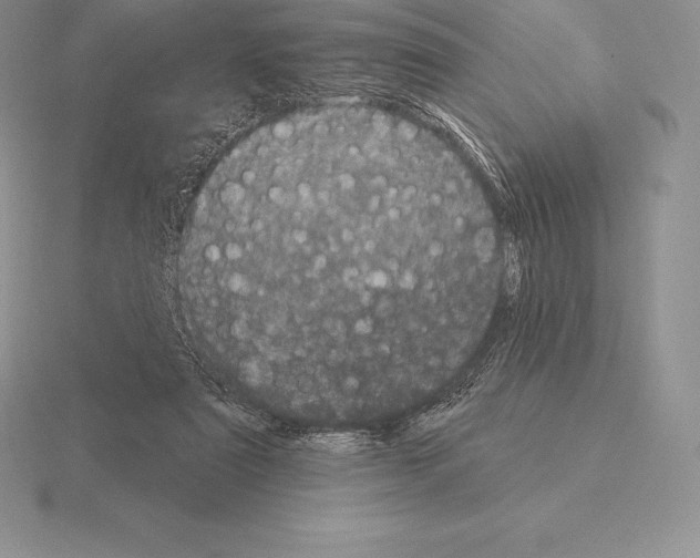 X0000115160307200912081414