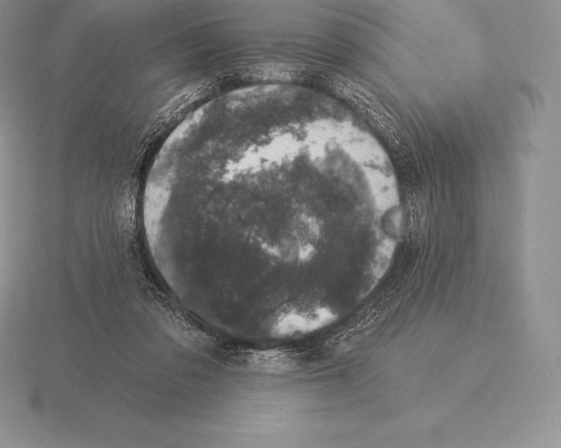 X0000115160309200912081413