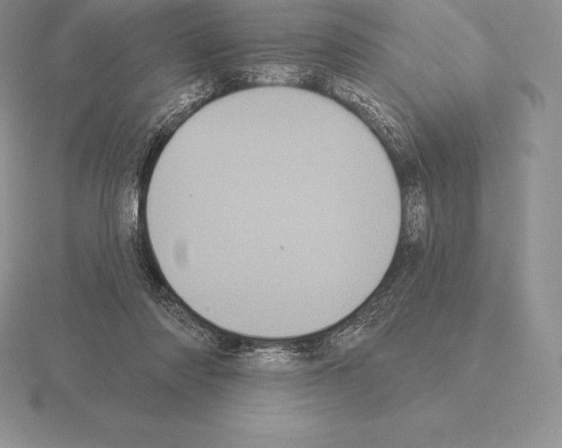 X0000115160310200912081413