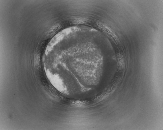 X0000115160312200912081413