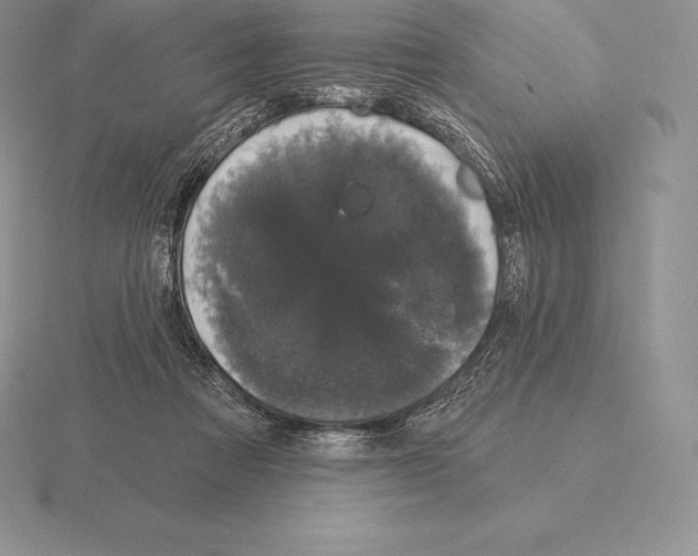 X0000115160313200912081413