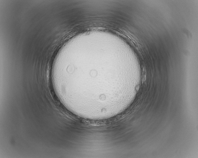 X0000115160315200912081413