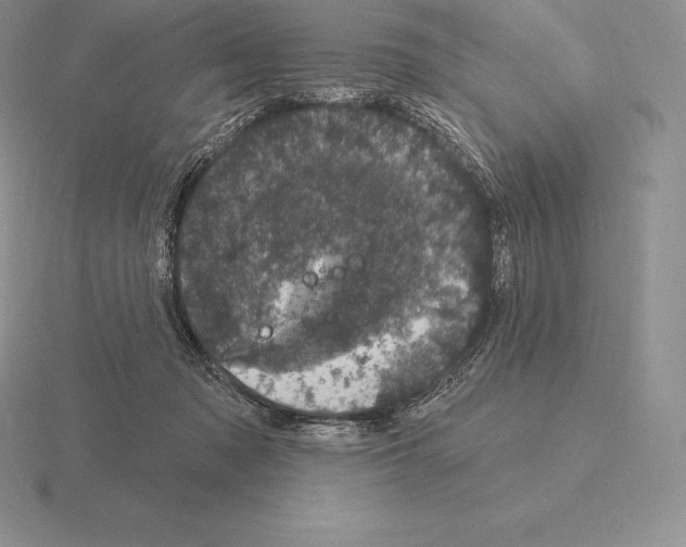 X0000115160317200912081413