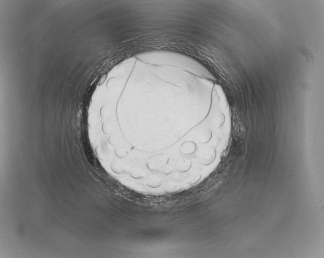 X0000115160319200912081413