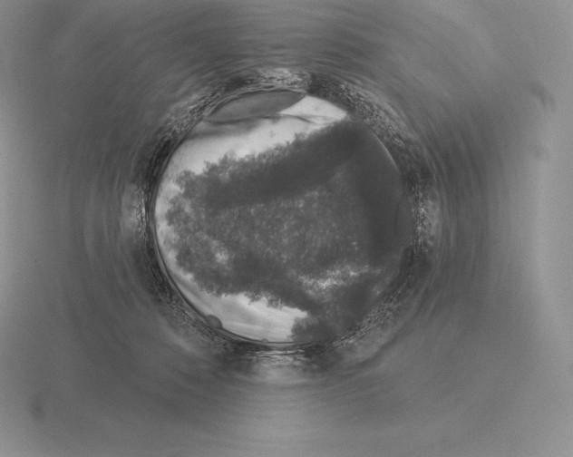 X0000115160320200912081413