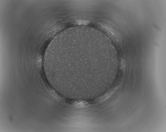 X0000115160321200912081413