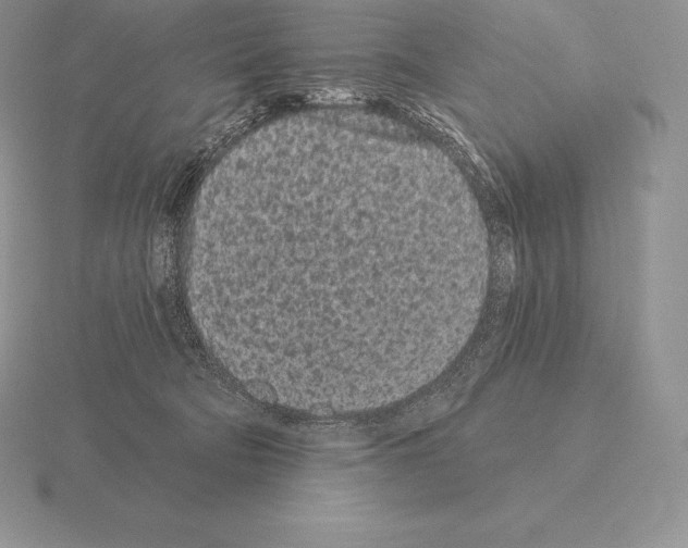 X0000115160322200912081413