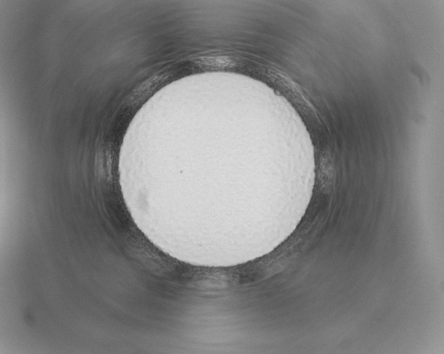 X0000115160330200912081413