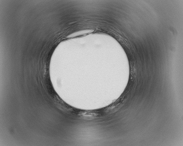 X0000115160331200912081413