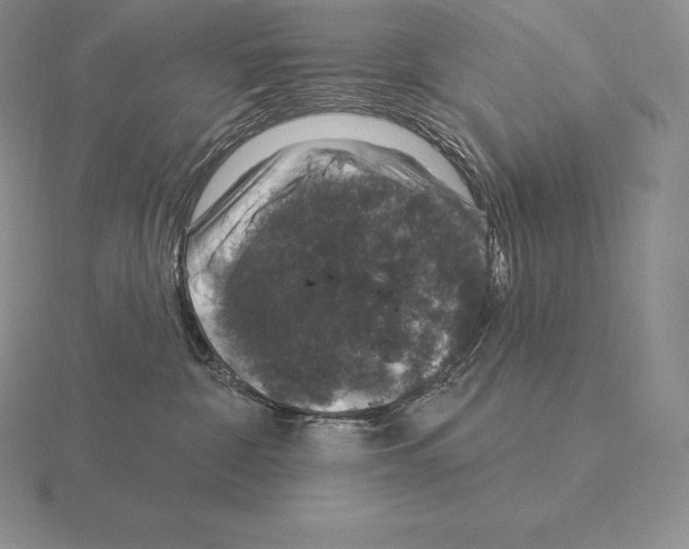 X0000115160332200912081413