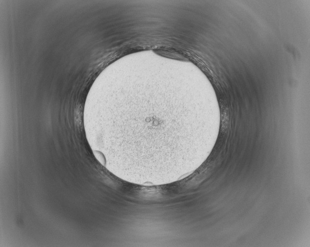 X0000115160335200912081413