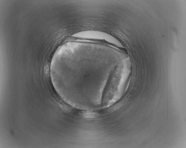 X0000115160336200912081413